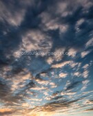 Анкета проститутки Юлия - метро Новогиреево, возраст - 22